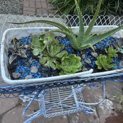 Beautiful Planter W Plants