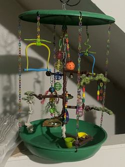 Bird playground