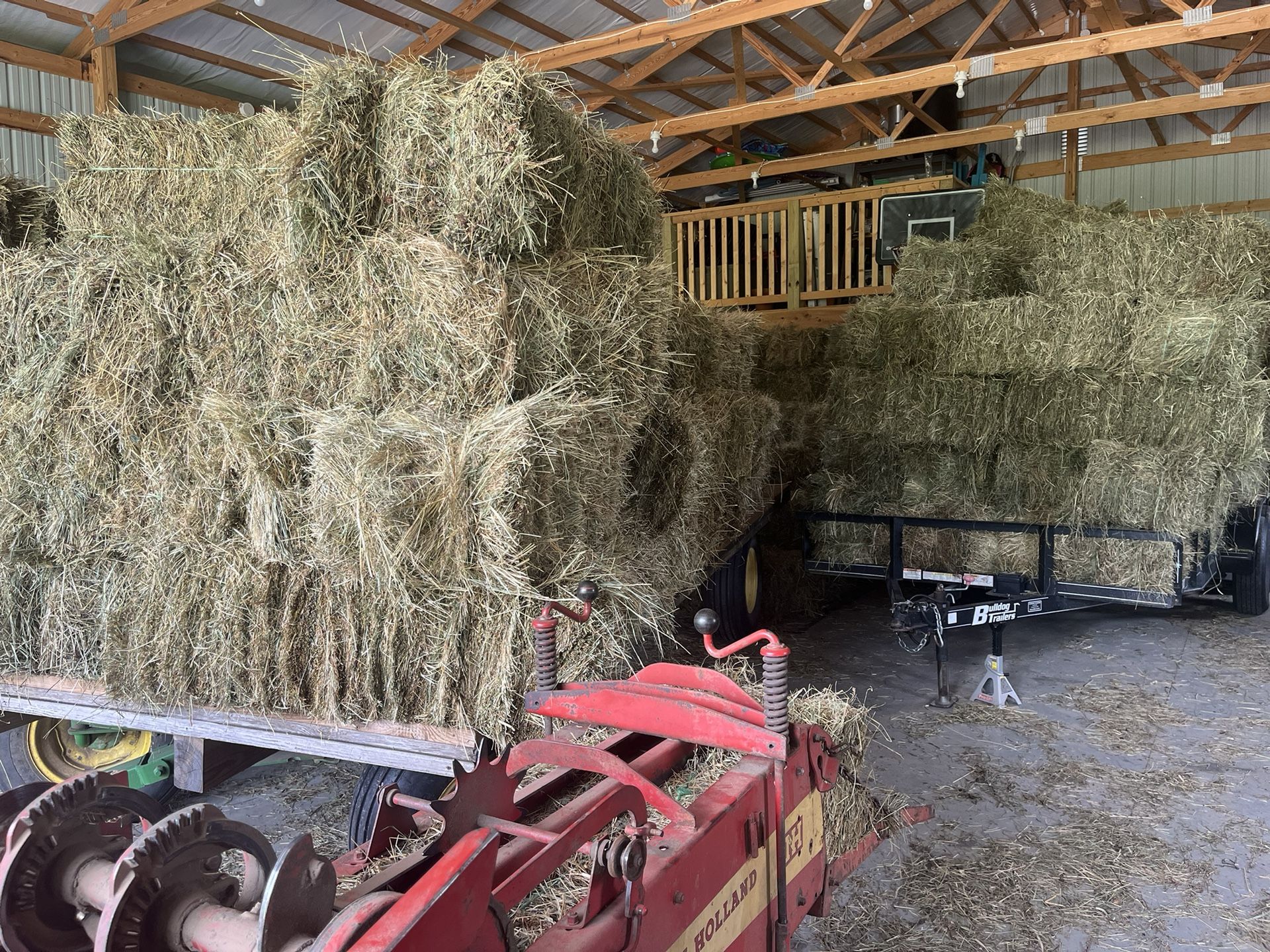 Hay Square Bales