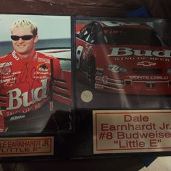 Dale Earnhardt Jr. Autographed Memorabilia Plaque