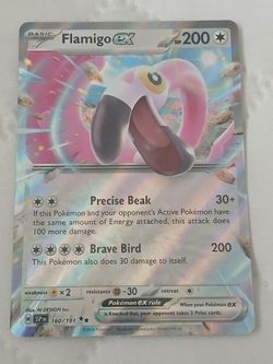 Pokemon Flamingo ex 160/191