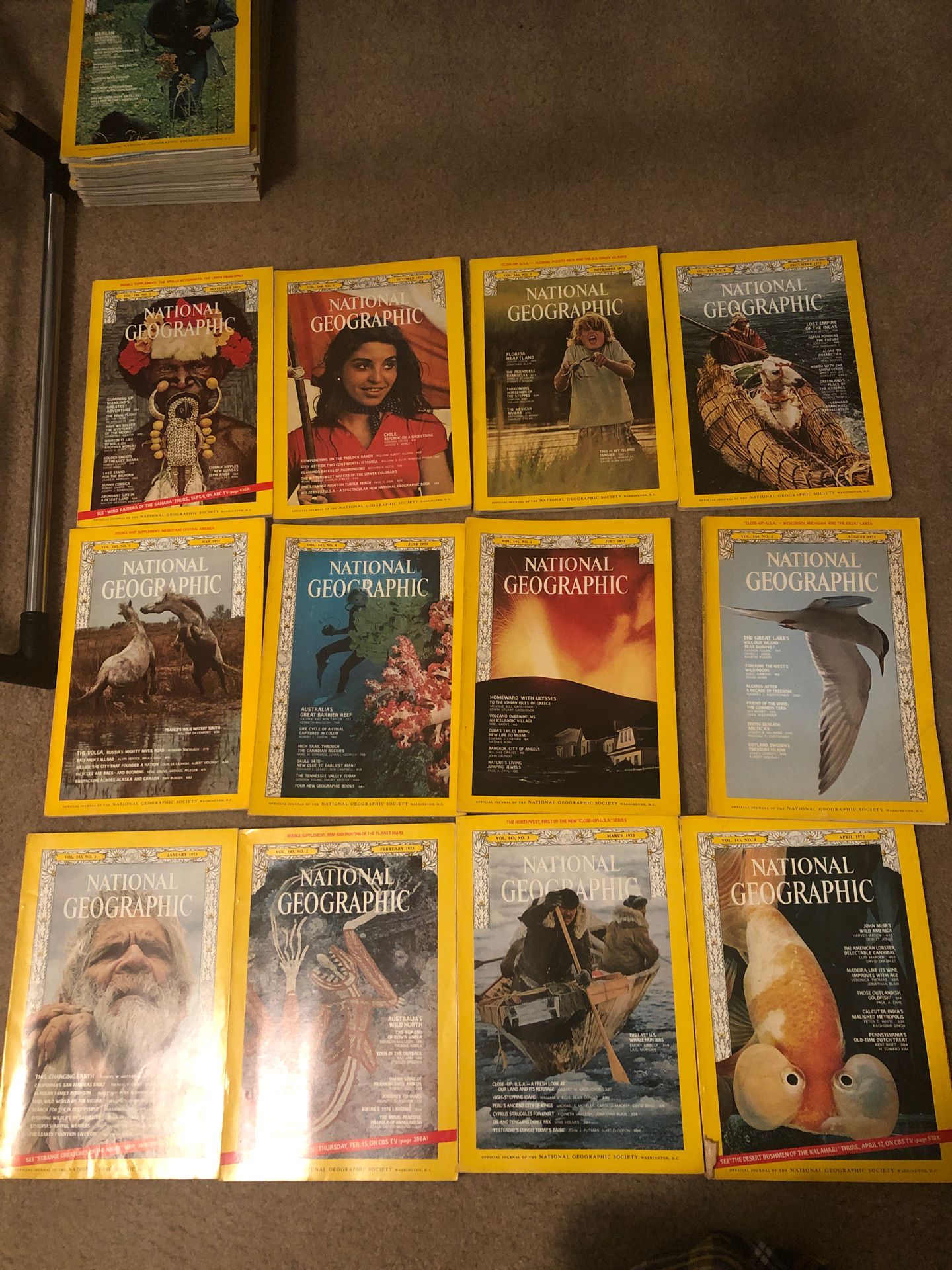 National Geographic Magazines 1973 (all 12)
