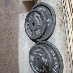 160lbs Olympic 2" weights