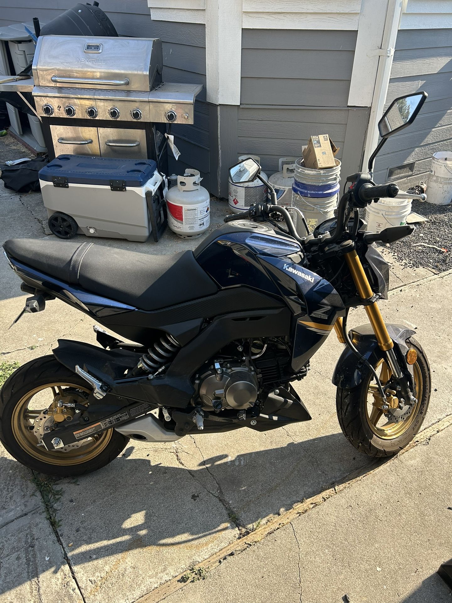 Kawasaki Z125 Pro