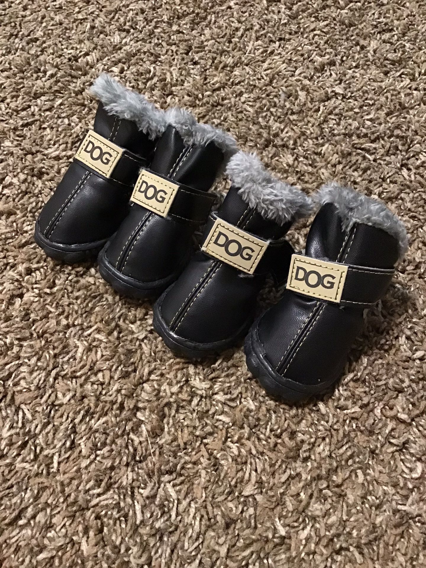 Size 5 Black Dog Shoes