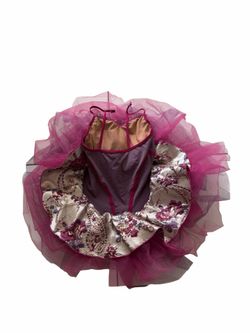 Girl Ballet Dance Costumes
