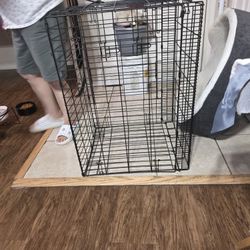 Dog Cage 