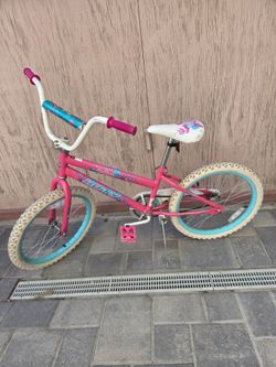 20 inc bike