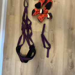 Dog Harness Pull Set