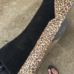 Back On Track Boots & Best ever Saddle Pad