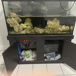 Sal Water Fish Tanks And Accessories 