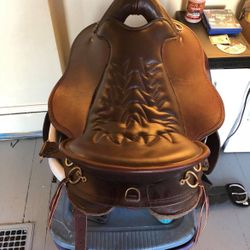 Riding Saddle And Accessories