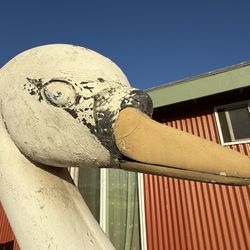 Hollywood Park 1970s Paddle Swan