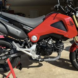 Honda Grom 2014 Low Mileage