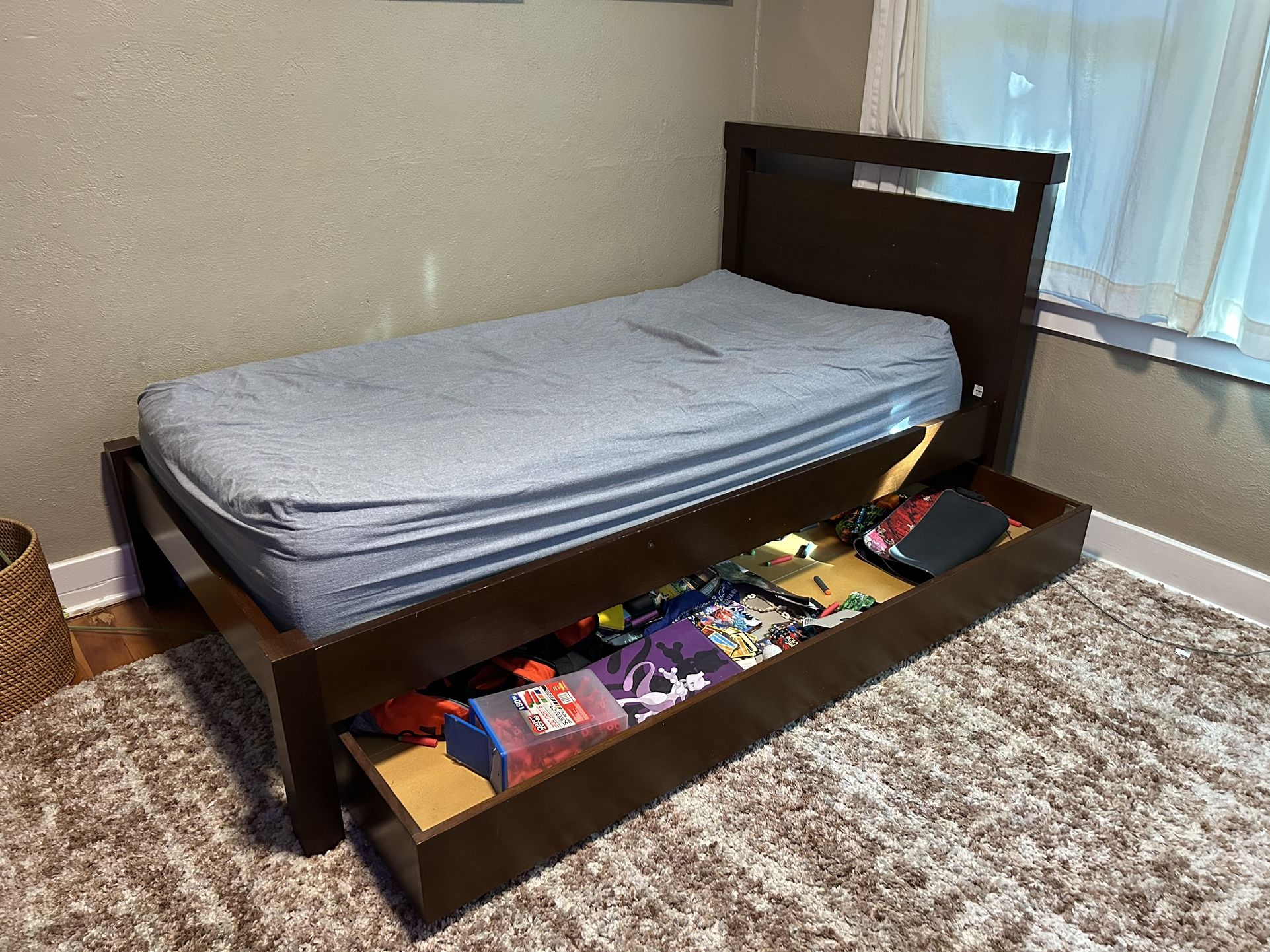 Crate & Barrel Twin Trundle Bed