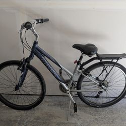 Trek Navigator 300 Bike