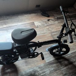 Electric bike