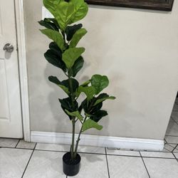 Faux Fiddle Leaf Fig Almost 5ft