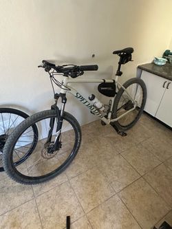 specialized rockhopper mountain bike