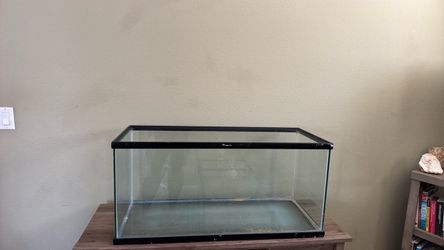 Free. 40 gallon reptile tank