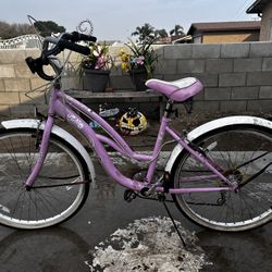 Beach Cruiser