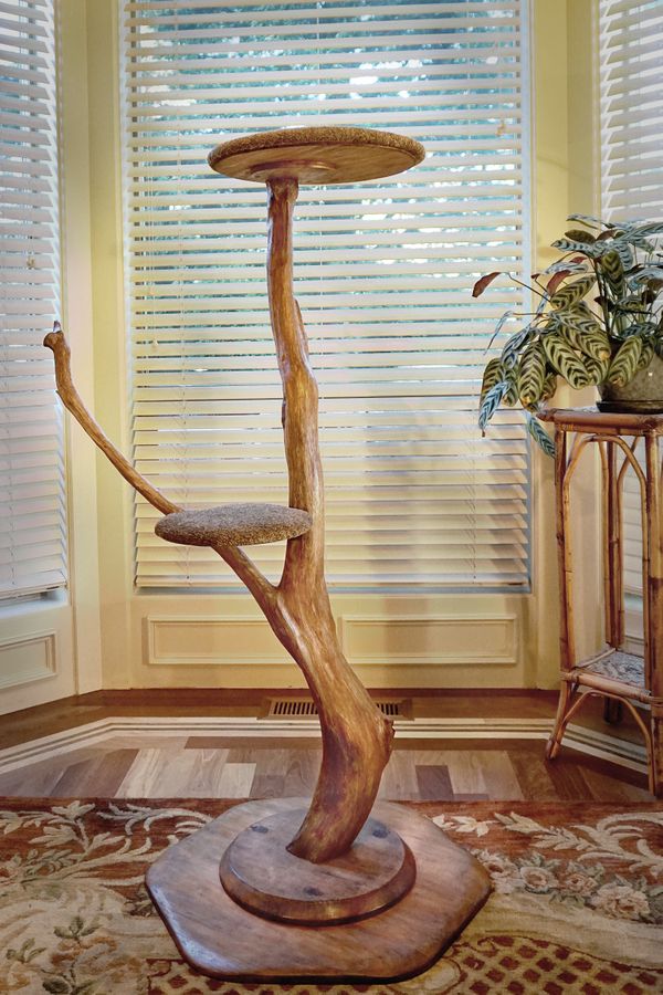 Natural Cat tree for Sale in Vancouver, WA OfferUp