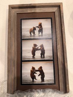 Framed Bear Cubs Wildlife Photo Art
