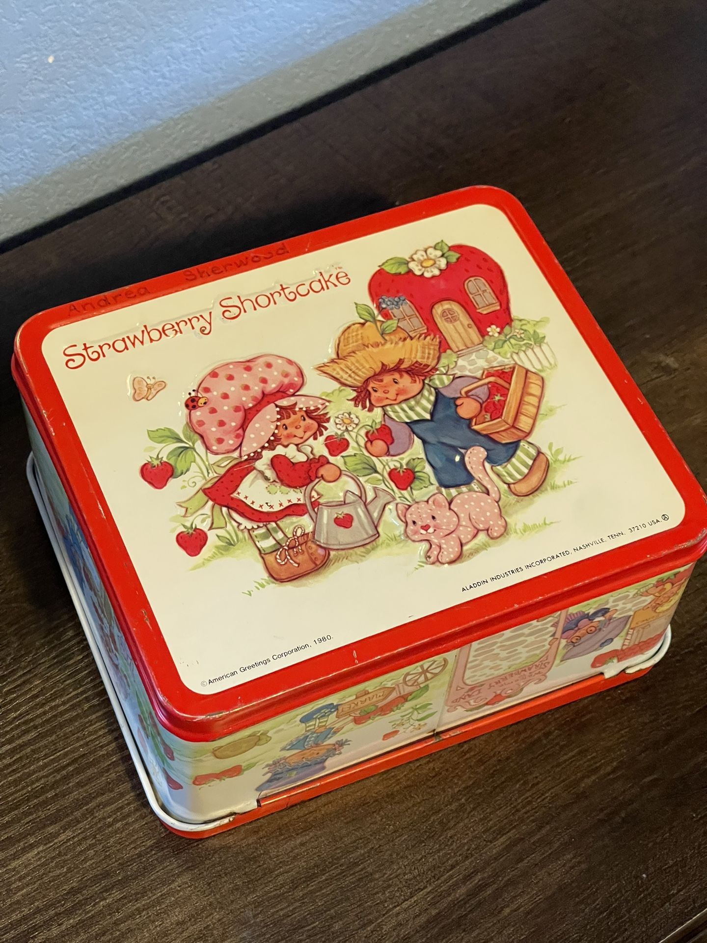 Strawberry Shortcake Lunchbox And Thermos Vintage