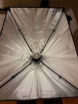 Mount Dog studio softbox light + upgraded bulb