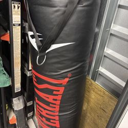 100pd Punching Bag
