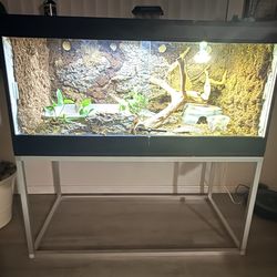 Custom 4x2x2 bioactive enclosure with stand.