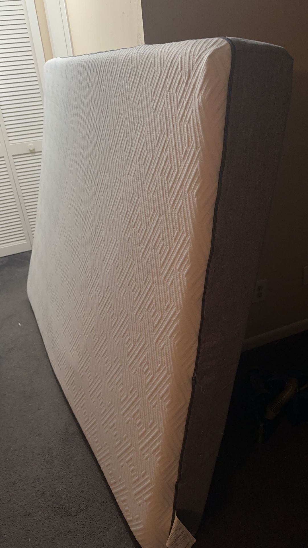 Basically Brand New Novella 8 Inch Mattress Need gone