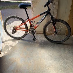 Nishiki Bike Pueblo 24”