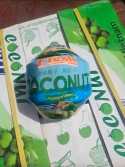 Cocos sabros