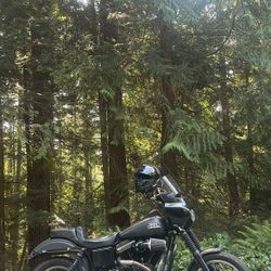 2017 Harley Davidson FXDB