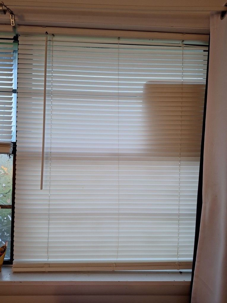 35" Wide White Cordless Blinds