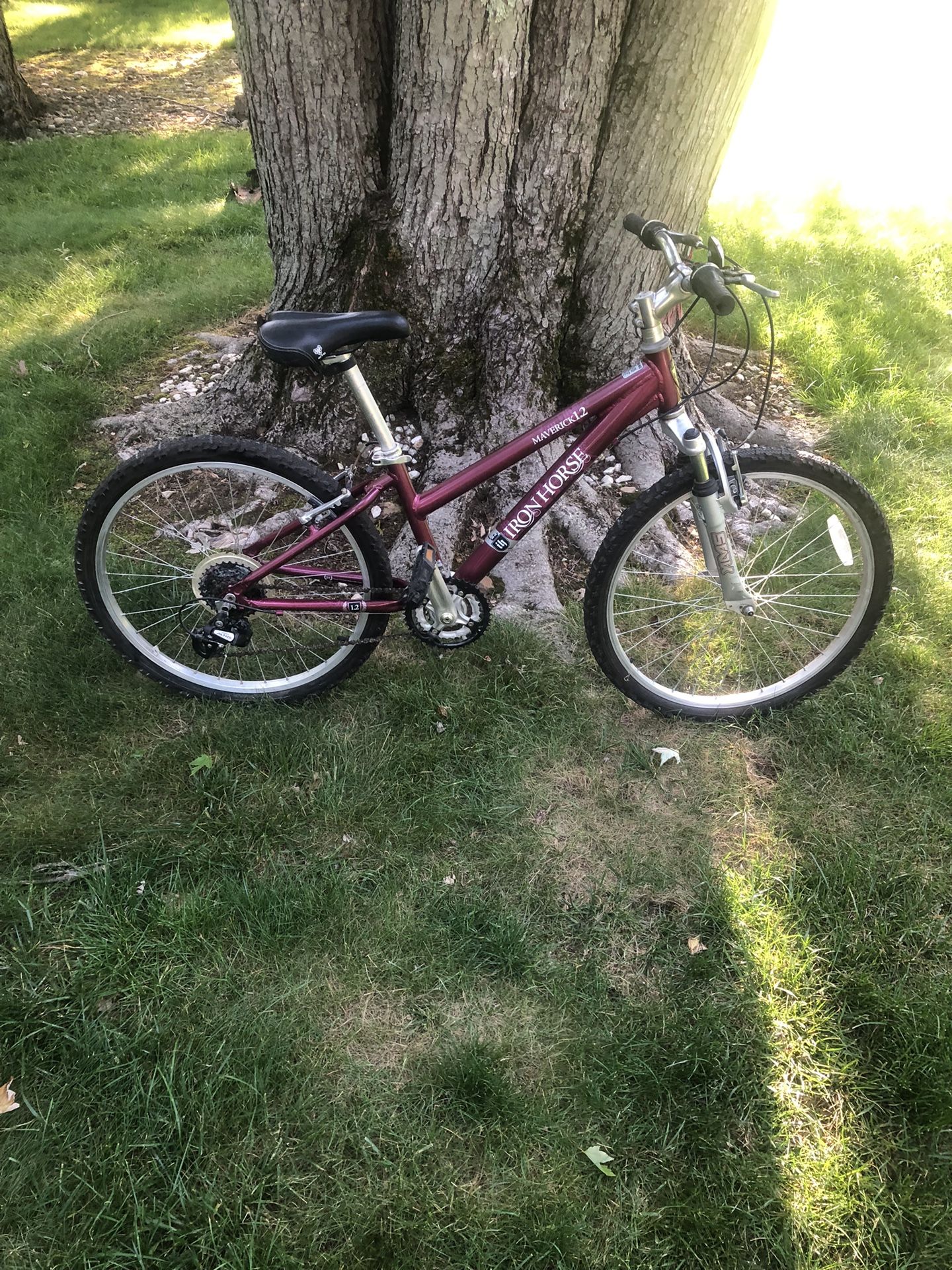 24” Iron Horse Mountain Bike
