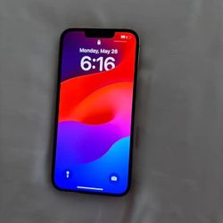 iPhone 13 Pro Max