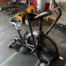 Titan Assault Bike