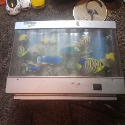 Fish Lamp