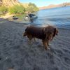 Dmitri