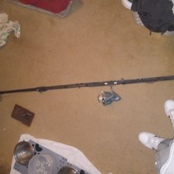 12 Foot Surf Rod