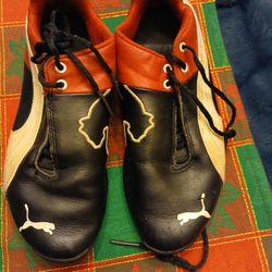 These shoes are Puma Scuderia Ferrari Future Cat sneakers