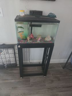 Fish tank