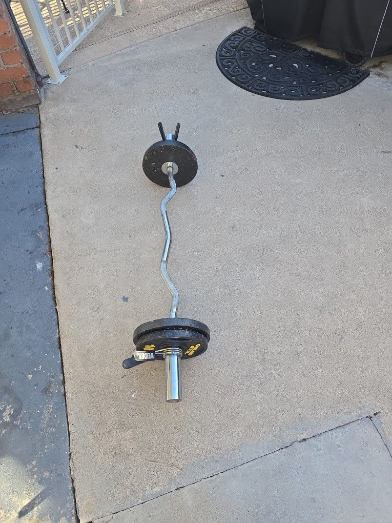 Curl Bar