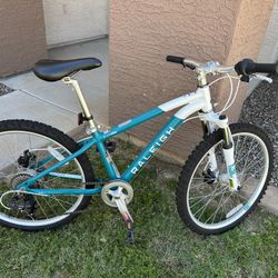 Raleigh bikes eva 24 sale