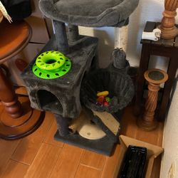 Cat House/ Bed