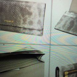 COACH MADISON PINNACLE EMBOSSED LIZARD WALLET (NEW)