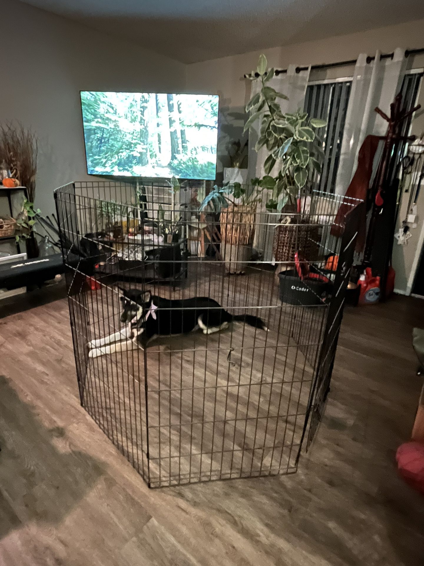 Dog Fence/Crate Exercise Pen 