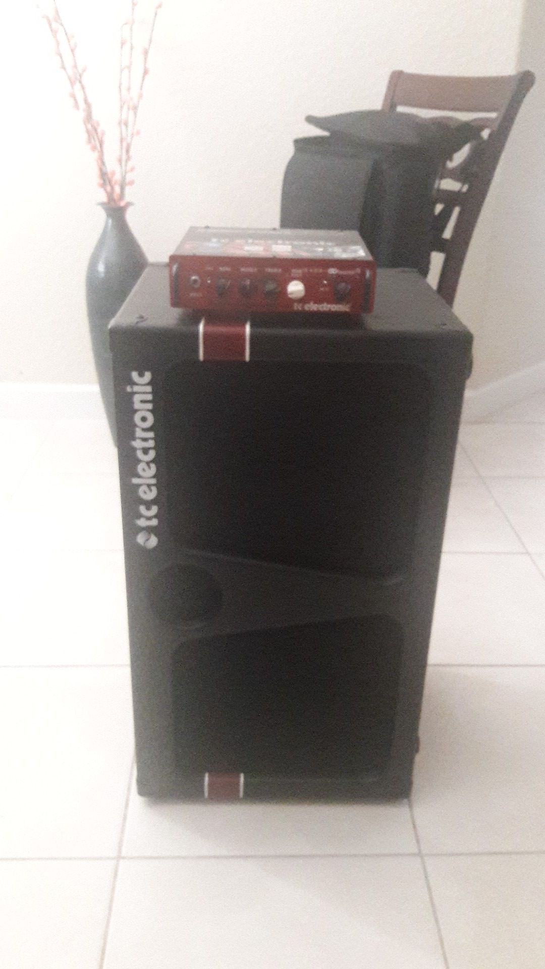 TC Electronic BH-500 Basshead with 2x10 bass cabinet